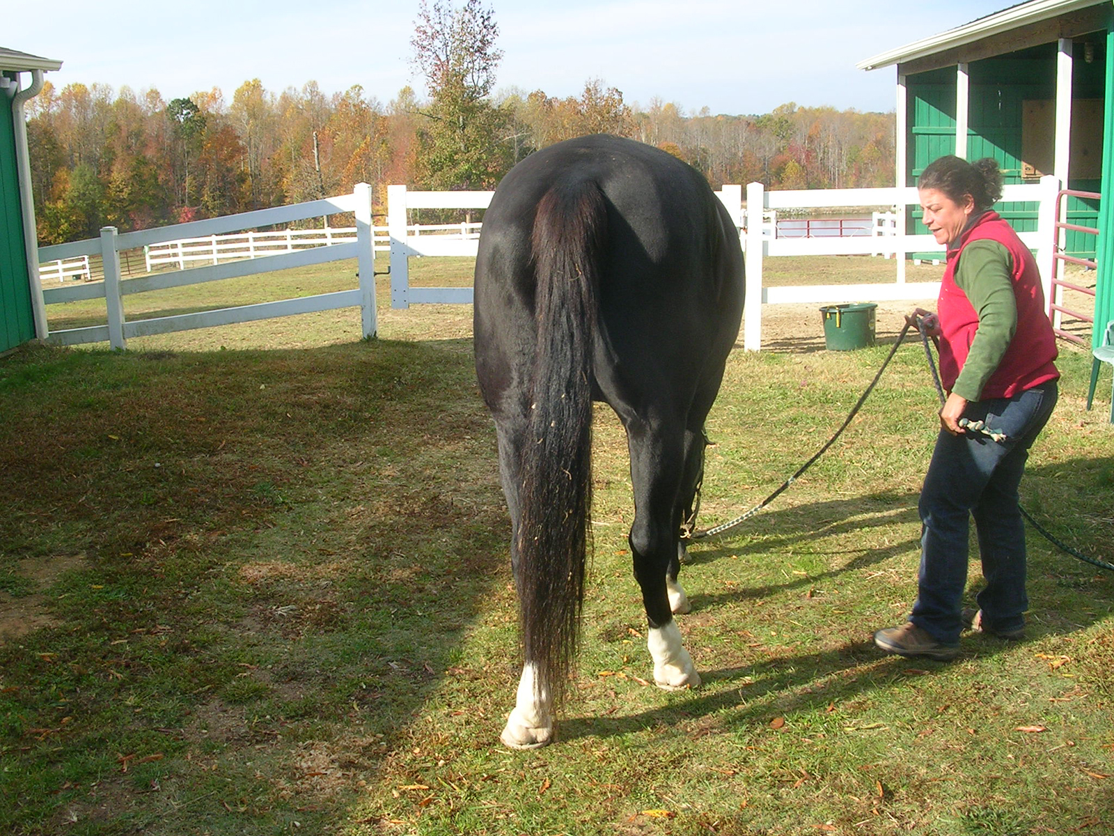 Beth and Some Other Horse